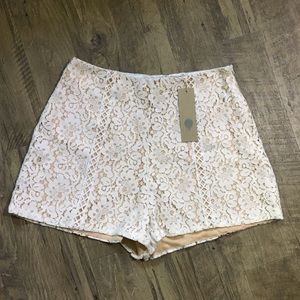 Gorgeous Lace Shorts NWT